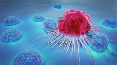 How Are Cancer Cells Different from Normal Cells? (2019, July 15). Lippincott Nursing Center. https://www.nursingcenter.com/ncblog/july-2019/cancer-cells-vs-normal-cells