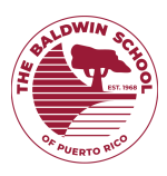 This essay was written as part of the MYP8 Language and Literature Freedom of Speech Unit, where students explored topics they care about and crafted persuasive speeches. Through the use of rhetorical devices like ethos, pathos, and logos, they learned to inform, inspire, and connect with their audience.