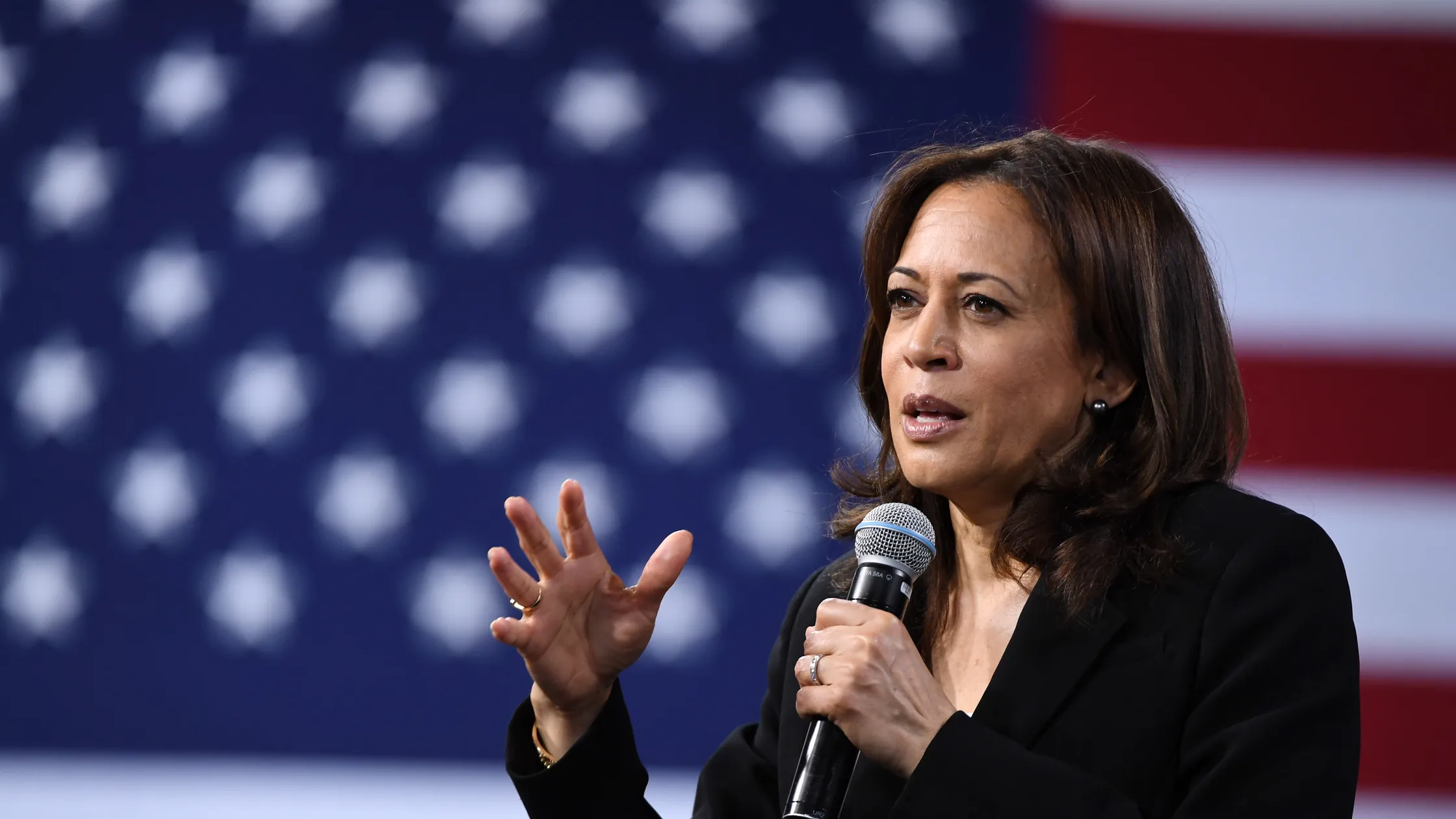 Miller, Ethan. “Kamala Harris.” Getty Images, media-assets.wired.it/photos/668674c28900b9c53e31fbe4/16:9/w_2240,c_limit/1145493381.