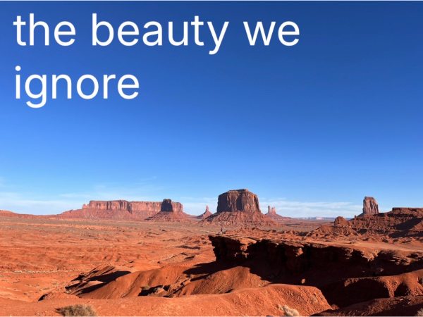The Beauty We Ignore