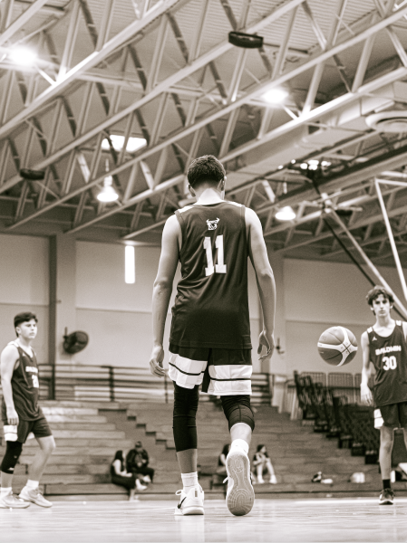 The Art of Baldwin Sports