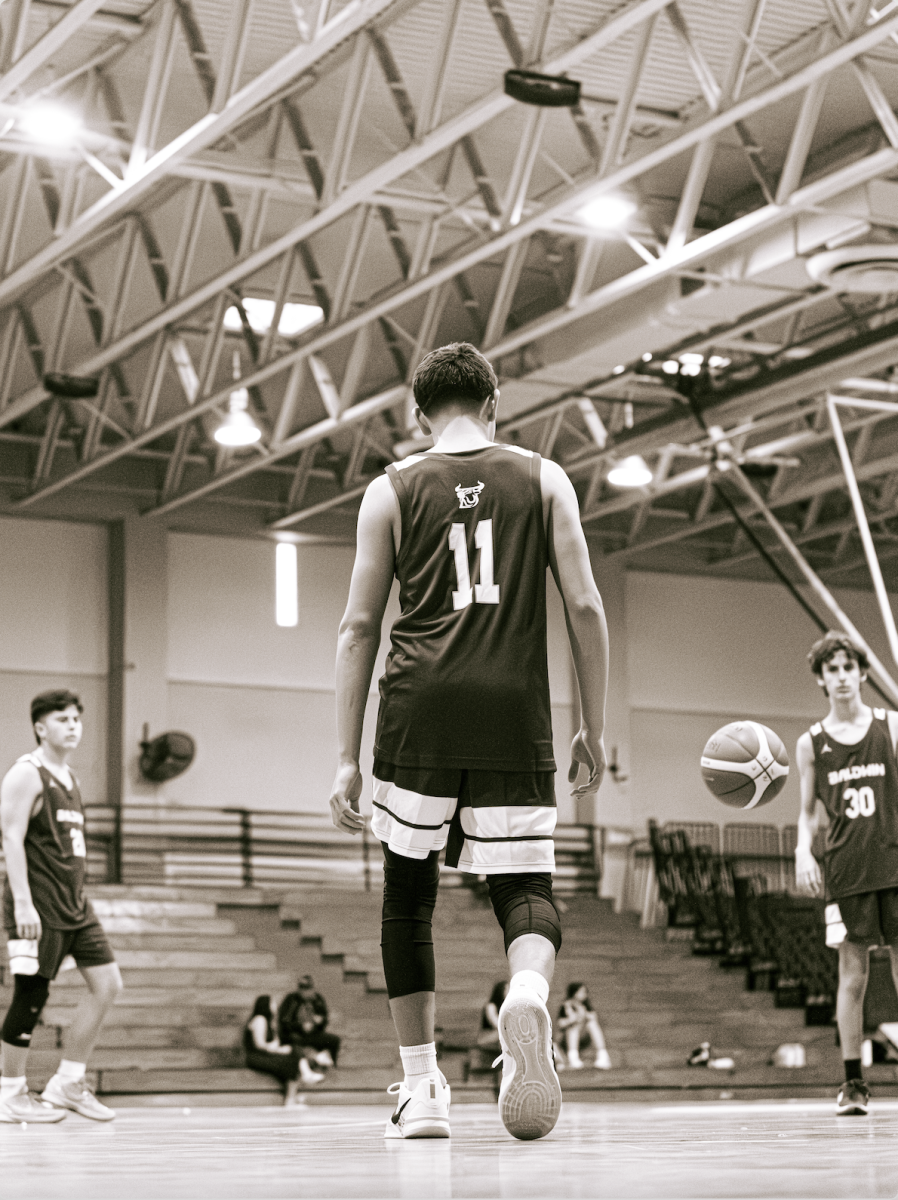 The Art of Baldwin Sports